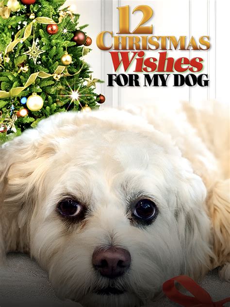 12 Christmas Wishes for My Dog: Heartfelt & Funny Messages for Your Best Furry Friend