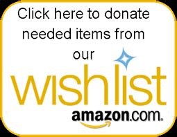 Words That Work: The Ultimate Guide to Promoting Your Amazon Charity Wish List