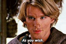 How to Use the 'As You Wish' Princess Bride GIF: 60+ Perfect Messages for Your True Love
