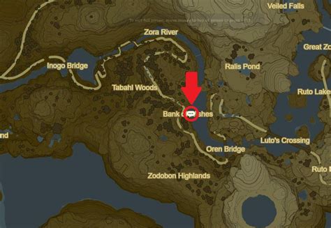 Your Ultimate Bank of Wishes for BOTW Fans: 50+ Messages for Every Hero in Hyrule