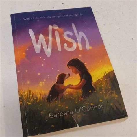 Heartfelt 'Barbara O'Connor Wish' Messages for Hope, Home, and Healing