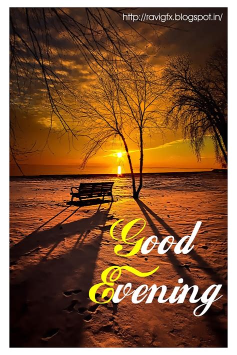 100+ Beautiful Good Evening Wishes to Share Warmth and Serenity