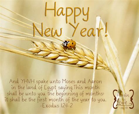 Meaningful Biblical New Year Wishes to Share God's Hope & Blessings