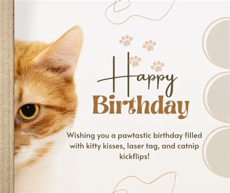 The Purr-fect List: 40+ Birthday Wishes for a Cat Lover