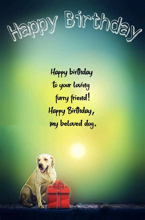 60+ Paw-some Birthday Wishes for a Dog (Plus 'Gotcha Day' Messages!)