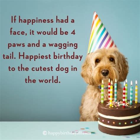60+ Paw-fect Birthday Wishes for Your Dog (Plus Funny & Heartfelt Ideas)