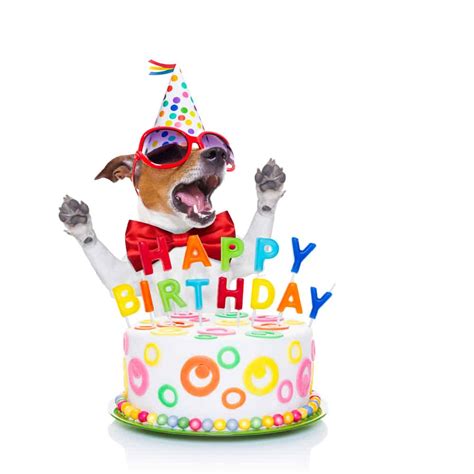 Birthday Wishes For Dogs