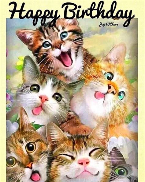 Pawsitively Perfect: 50+ Birthday Wishes From a Cat For Their Human