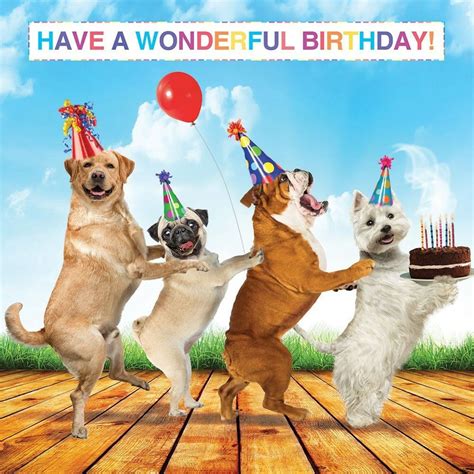 Happy Woof-day! 50+ Perfect Birthday Wishes From the Dog