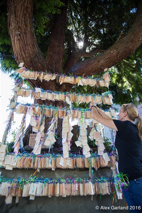 Find the Perfect Words: What to Write on a Capitol Hill Wishing Tree Tag