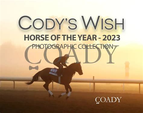 More Than a Race: 40+ Heartfelt Messages Inspired by the Cody's Wish Horse Legacy