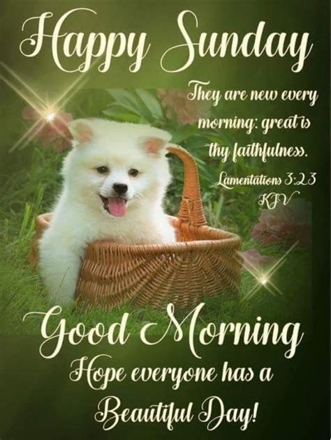 Spread a Little Sunshine: 50+ Cute Happy Sunday Wishes to Make Someone's Day