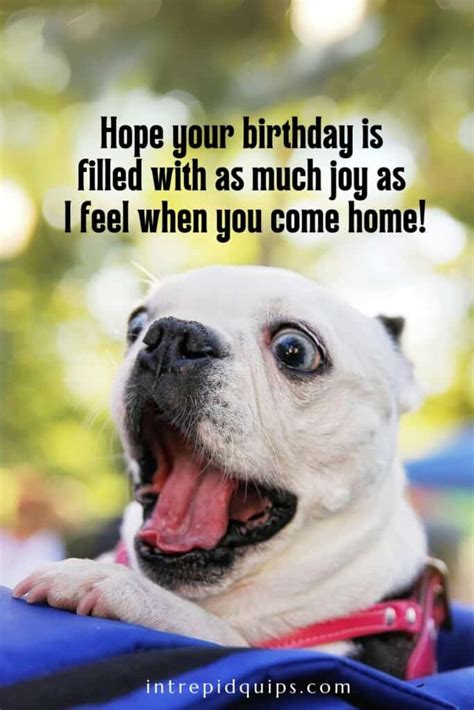 The Ultimate Guide to Paw-some Dog Birthday Wishes