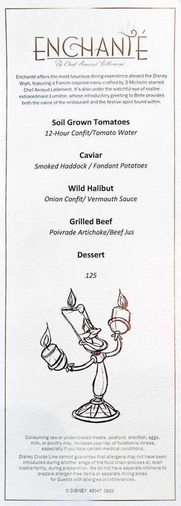 The Perfect Enchanté Disney Wish Menu: What to Write for Your Magical Celebration