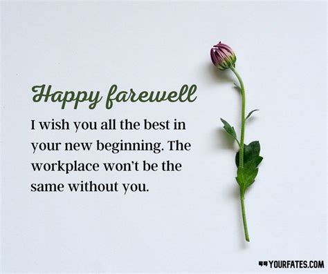 More Than Just 'Good Luck': A Creative Guide to Farewell Wishes for a Coworker