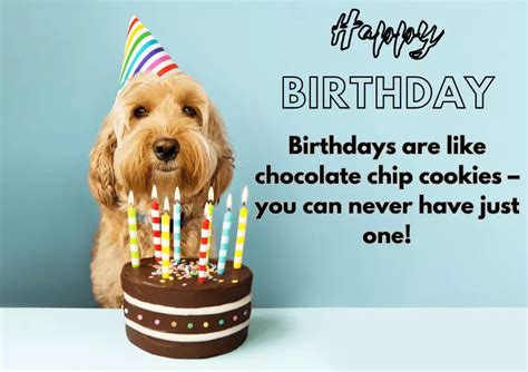 The Ultimate Guide to Funny Birthday Wishes for a Grandson (That He'll Actually Enjoy)