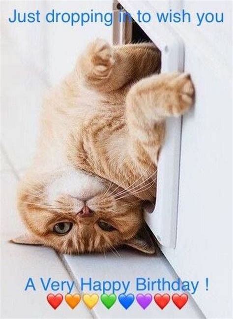 Claws for Celebration: 50+ Funny Birthday Wishes with Cats