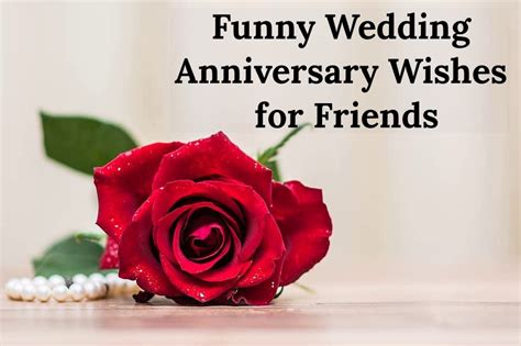 Cheers to Another Year! 60+ Funny Wedding Anniversary Wishes for Friends