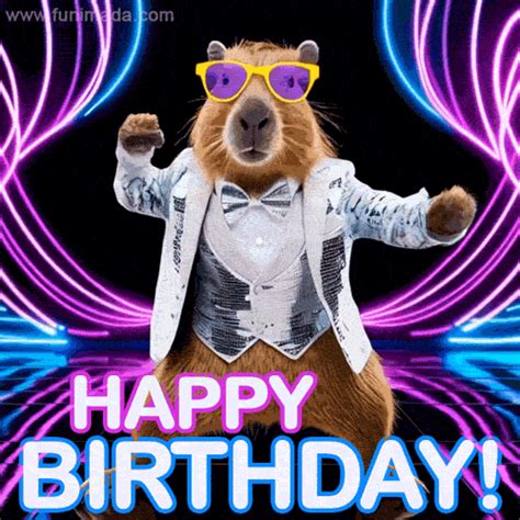 50+ GIF Funny Birthday Wishes to Perfectly Pair With Their Favorite Meme