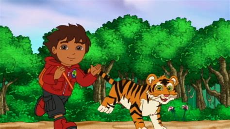 Go Diego Go Bengal Tiger Makes A Wish