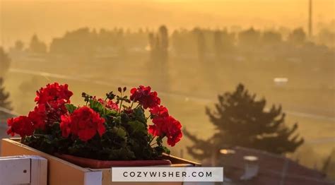 50+ Meaningful Good Friday Wishes & Messages for Reflection and Hope