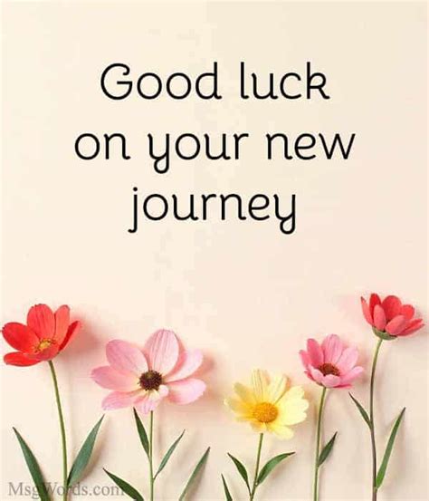 Your Next Chapter Awaits: The Ultimate Guide to Good Luck Wishes for a Future Career