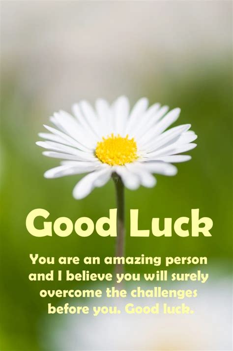 More Than Just 'Good Luck': 60+ Creative Good Luck Wishes Messages for Every Occasion