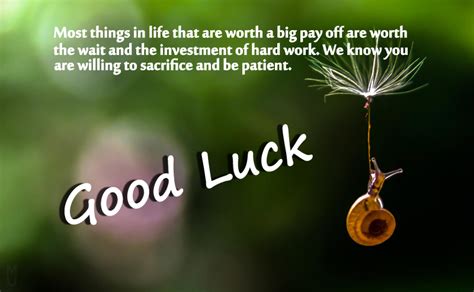 Beyond 'Good Luck': 50+ Perfect Good Luck Wishes for Every Situation