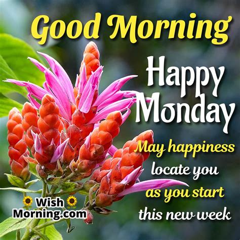Start Their Week with a Smile: Your Ultimate Guide to Good Morning Monday Wishes