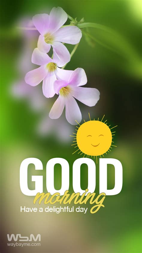 Rise and Shine: 60+ Perfect Good Morning Wishes Card Messages
