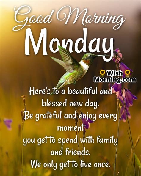 50+ Good Morning Wishes for Monday to Brighten Anyone's Week