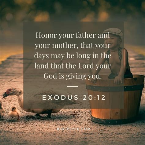 2. Honoring Their Light: Focusing on Legacy & Love