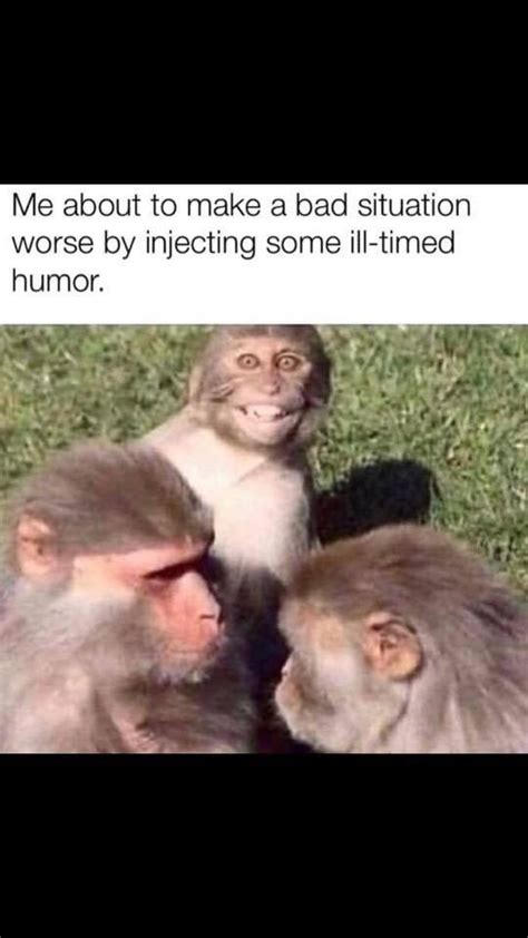 3. Sarcastic & Funny Takes on a Bad Situation