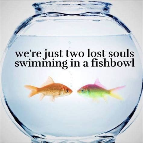 3. Two Lost Souls in a Fishbowl: Decoding the Iconic Lyrical Imagery