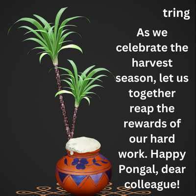 4. Pongal Wishes for Friends & Colleagues (நண்பர்கள் மற்றும் சக ஊழியர்களுக்கான வாழ்த்துக்கள்)