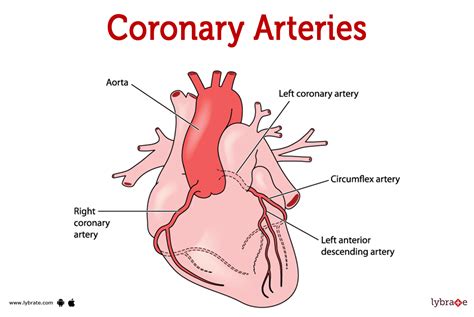 5. Appealing to the Heart: Reminders of the Real Impact