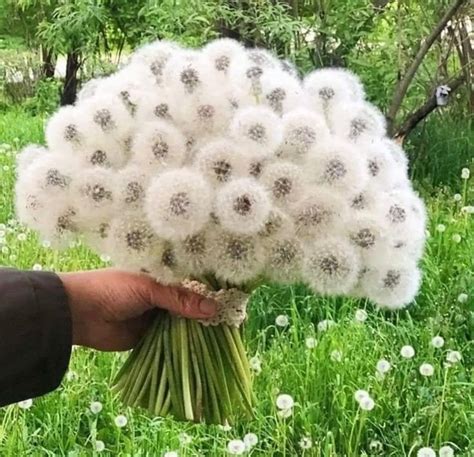 A Bouquet of Wishes: A Mix for Every Part of Life
