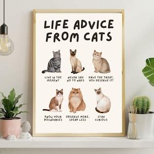 A Cat's Perspective on Your Special Day