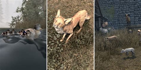 A Hearth's Last Ember: For the Everyday Citizen of Skyrim