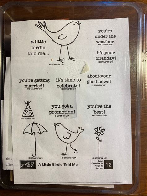 "A Little Birdie (Named Amazon) Told Me..." - The Playful & Witty Reveal