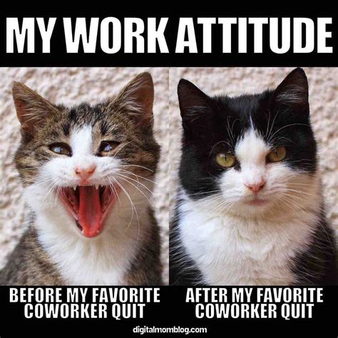 A Little Humor for My Favorite Co-Competitor