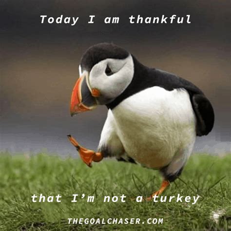 A Little Humor with Your Gratitude