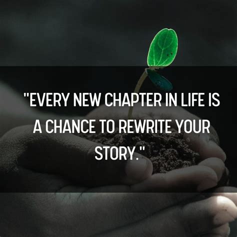 A Thousand Wishes for a New Chapter