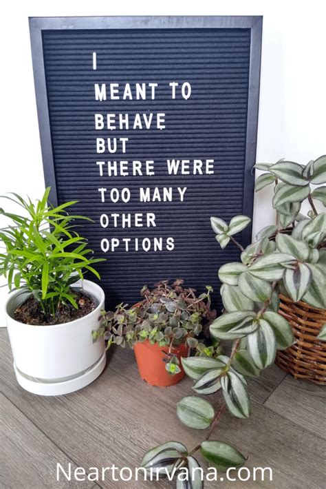 A Touch of Wit & Wisdom: Lighthearted Messages