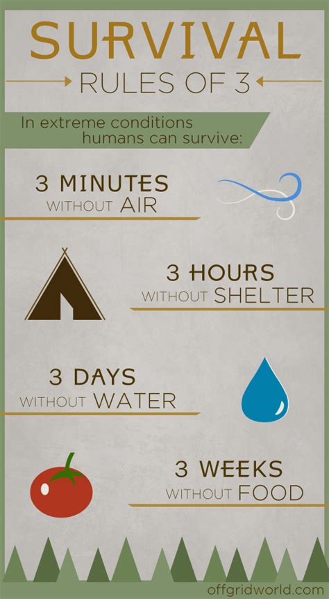 A User's Guide to Survival: Tips for Your First Time
