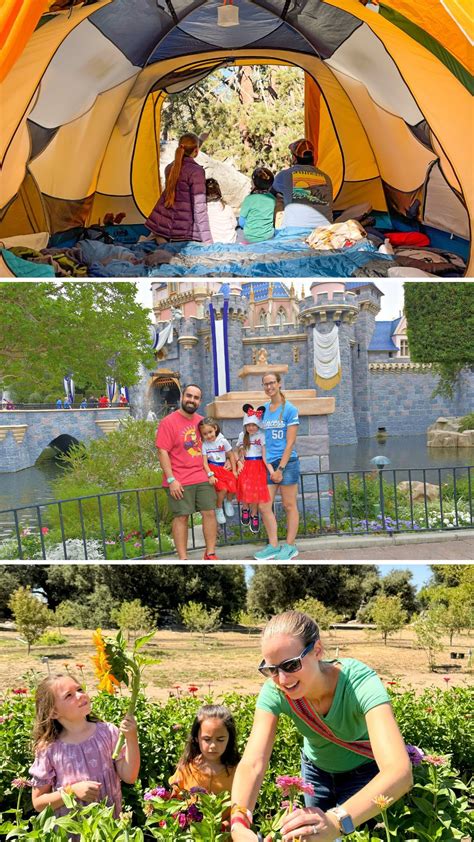 Adventures & Experiences to Share
