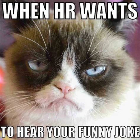 Age-Related Jokes (The HR-Approved Version)