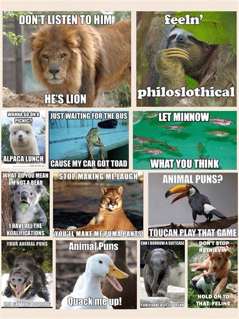 Animal Antics & Pet Puns