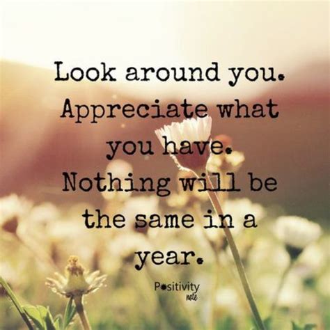 Appreciating the Everyday You