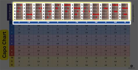 Beginner's Paradise: Simplified & Capo-Friendly Versions